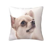 OGNOT Cute Chihuahua Decorative Throw Pillow Covers Cushion Cases,Square Cushion Case, Pillow Covers for Sofa Bed,16 X 16inch