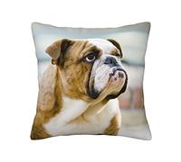 OGNOT Funny English Bulldog Decorative Throw Pillow Covers Cushion Cases,Square Cushion Case, Pillow Covers for Sofa Bed,16 X 16inch