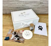 Oh So Precious Complete Puppy/kitten Keepsake Kit - All My Firsts Memory Box, Clay, Glass Fur Bottle, Ink Pad Capture Paw Prints & Fur