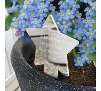Oh So Precious Memorial Star Plant Marker With Forget-Me-Not Seeds