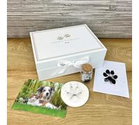Oh So Precious Pet Keepsake Kit - Memory Box, Clay Paw Print Impression, Fur Keepsake Bottle, Ink Pad Kit - Pet Lovers Gift