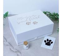 Oh So Precious Treasured Memories Pet Memorial Keepsake Box