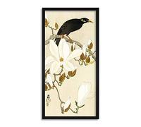 Ohara Koson Myna on Magnolia Branch Long Framed Art Print Wall Poster 25x12 inch