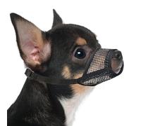 ohfruit Mesh Dog Muzzle, Adjustable Breathable Allows Pant Drink, Nylon - Prevents Biting Barking for Short Snout Small Dogs Training Vet Grooming S