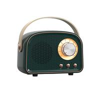 ohfruit Wireless Speaker- Card Play Hands-free Calling Surround Sound Effect Listen to Music Type-C Interface Type Retro Radio Loudspeaker Bass Speaker for Office Atrovirens