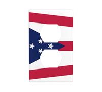 Ohio State Flag Unbreakable Polycarbonate Switch Plate-1 Gang Screwless Wall Plate for Home Office
