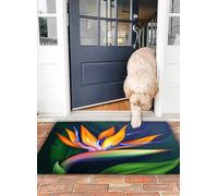 OHJEAJDS Bath Mat 16x24 in,Non-Slip Washable Bathroom Mat,Extra Soft and Absorbent Bath Mats for Bathroom Floor,Tub,Shower,strelitzia bird of paradise exotic flower botanical illustration