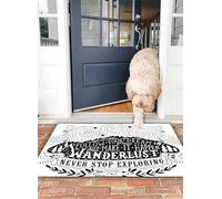 OHJEAJDS Bath Mat 16x24 in,Non-Slip Washable Bathroom Mat,Extra Soft and Absorbent Bath Mats for Bathroom Floor,Tub,Shower,Adventure,Journey and Exploration Themed Follow Your Dream Quote Wanderlust