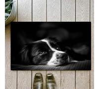 OHJEAJDS Bath Mat 24x39 in,Non-Slip Washable Bathroom Mat,Extra Soft and Absorbent Bath Mats for Bathroom Floor,Tub,Shower,Emotion photo down black and white border collie