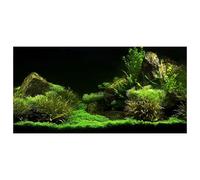 Ohling Fish Tank Background, Aquarium Poster Background 3D Effect World Wallpaper Backdrop Sticker 61 * 30Cm PVC Self Adhesive Underwater Fish Tank Decorations Pictures Seafloor Water Rock Grass