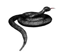 OhMill Giant Plush Snake Stuffed Animal Snake Plush Toy