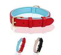 Ohmywor Puppy Collars Dog Collar Small Dog Leather Dog Collar for Small Dogs, Red 1.5cm x35cm, XS