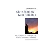 Ohne Schmerz - Kein Halleluja: Der Jakobsweg für Einsteiger. Von Leon bis Santiago de Compostela
