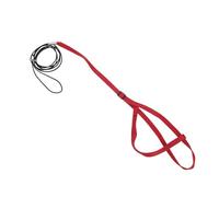 OHPHCALL Bird Training Parrots Adjustable and for Harness Leash with Buckle and Comfortable Fit Flying Rope Kit Outdoor Suitable for Cockatiels and Small Birds