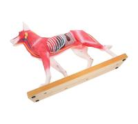OHPHCALL Canine Body Acupuncture Model Teaching and Training Tool for Highly Detailed Pvc Dog Anatomy Model Acupuncture Points Anatomy Teachers and Students for Veterinary Education