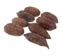 OHPHCALL Natural Dried Fruit Parrot Chewing Healthy Foraging Accessories 8pcs to Increase Curiosity and Encourage Chewing for Budgie and Bird in Pet's Home