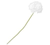 OHPHCALL Realistic Artificial Dandelion Flowers Lifelike Faux Floral Stems for Home Living Room Window Display Wedding Decoration