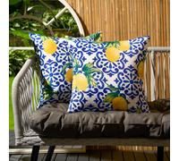 OHS 2 Pack Lemon Abstract Water Resistant Outdoor Filled Cushions Garden in Blue | Size: 45 cm x 45 cm OHS Blue 45 cm x 45 cm