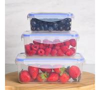 OHS 3 Set Square Fruit Containers for Fridge, BPA Free Plastic Food Storage Containers with Lids Leak Proof Gym Meal Prep Fridge Freezer Stackable Clear Airtight Food Storage Container