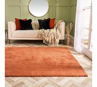 OHS Area Rugs for Living Room 160 x 230, Rugs for Bedroom Home Decorative Non Slip Modern Super Soft Cosy Teddy Thick Pile Large Non Shedding Shaggy Rug Floor Carpet, Rust