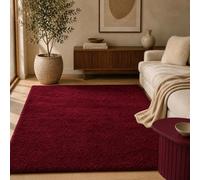 Ohs Fluffy Teddy Rug Soft Floor Carpet Non Slip Area Mat, Berry - 120 X 170Cm