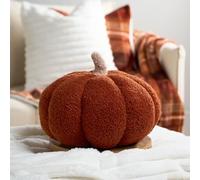 OHS Pumpkin Cushion, Halloween Room Decor Super Soft Boucle Fabric Autumnal Cushions Plush Pillow for Bed Sofa Thanksgiving Home Fall Room Decor Halloween Cushions Throw Pillow, Rust - 25 x 25cm