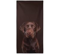 OHTMTHO Oversized Beach Towel Quick Dry Sand Free Lightweight Microfiber Beach Towels for Swim Pool Camping Travel, Dog Theme Brown Labrador Chocolate Lab, 36"x72"