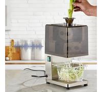 oiakus Electric Spring Onion Cutter, Scallion Shredder Machine, 1.8 Mm/2.3Mm/3.5Mm/4.5 Mm, Removable Cleaning, Improve Efficiency, Enlarge Feed Inlet, for Garlic, Chili, Celery