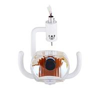 oiakus Oral Lamp, 50W Dental Halogen Lamp, Cold Light Oral Examination Lamp, for Dental Unit Chair, Oral Chair, Halogen Dental, Oral Operation Light, Dental Clinic.