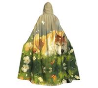 OIBNKCN Akita dogs Suitable for both men and women, adult hooded robes, cloaks, knights, stylish and cool role-playing costumes