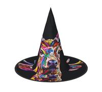 OIBNKCN Mysterious Rainbow Deer Halloween Hat Witch Hat - Perfect for Women, Men,Witches Hat Decor for Hanging, and Party Use