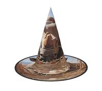 OIBNKCN The Rhinoceros in Sight Halloween Hat Witch- Perfect for Women, Men,Witches Decor for Hanging, and Party Use, Black, 2 PCS