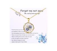 Oidea Pressed Flowers Necklaces for Women: Forget Me Not Seed Memorial Necklace Embryo Loss Keepsake Jewelry Pregnancy Loss Grief Sympathy Miscarriage Gifts for Mothers, Irregular