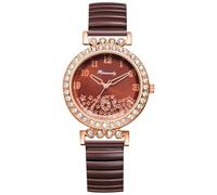 Oidea Womens Stretch Band Watch: Large Clear Number Easy Reader Watch Fashion Cubic Zirconia Diamond Dial Watches Waterproof Casual Business Ladies Wristwatch Brown