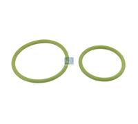 Oil Circuit Seals DT SPARE PARTS 5.94510