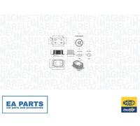Oil Cooler, engine oil for FORD C-MAX ESCAPE FOCUS MAGNETI MARELLI 350300000900