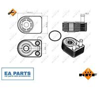Oil Cooler, engine oil for FORD FOCUS FUSION GRAND C-MAX NRF 31312