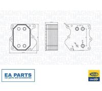 Oil Cooler, engine oil for FORD TRANSIT MAGNETI MARELLI 350300000500