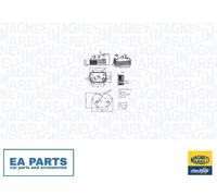 Oil Cooler, engine oil for LAND ROVER FREELANDER 2 MAGNETI MARELLI 350300002600