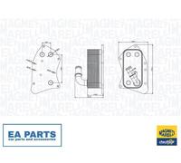 Oil Cooler, engine oil for VAUXHALL ASTRA ASTRAVAN MAGNETI MARELLI 350300002300