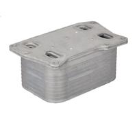 Oil Cooler, engine oil THERMOTEC D4M027TT for CLS (C218) 4.7 2011-2017