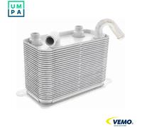 OIL COOLER ENGINE OIL V15-60-6067 FOR VW CARAVELLE/KOMBI/Bus/TRANSPORTER/Mk 2.5L