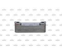 Oil Cooler NRF 31765