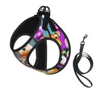 Oil Cute Schnauzer Dogs Printing Dog Summer Harness With Leash Set,Adjustable And Reflective Step-In Puppy Pet Vest Harnesses