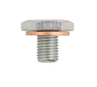Oil Drain Plug With Seal Ring For PEUGEOT 206+ 206 207 208 301 2008 306 307 308 3008 1007 107 0311.29 - AUTORCE