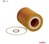 Ashika Oil Filter Cartridge 10-ECO143 for BMW 116i/118i/120i/320i N13 1.6 2011-2017