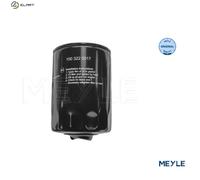 Meyle Oil Filter 100 322 0017 – Screw-on Filter for Audi, VW, Skoda, Seat (A4 B5/B6/B7, A6 C5, Exeo)