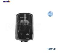 Meyle Oil Filter 100 322 0017 – Screw-on Filter for Audi, VW, Skoda, Seat (A4 B5/B6/B7, A6 C5, Exeo)