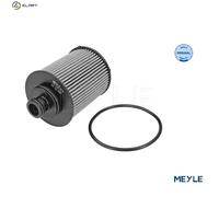 Meyle Oil Filter 6143220007 - Filter Insert with Seal - Alfa, Fiat, Ford, Lancia, Opel, Suzuki