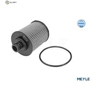 Meyle Oil Filter 6143220007 - Filter Insert with Seal - Alfa, Fiat, Ford, Lancia, Opel, Suzuki